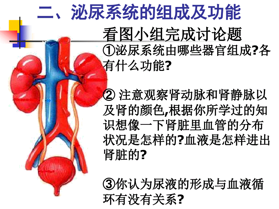 尿的形成和排出用ppt课件_第4页