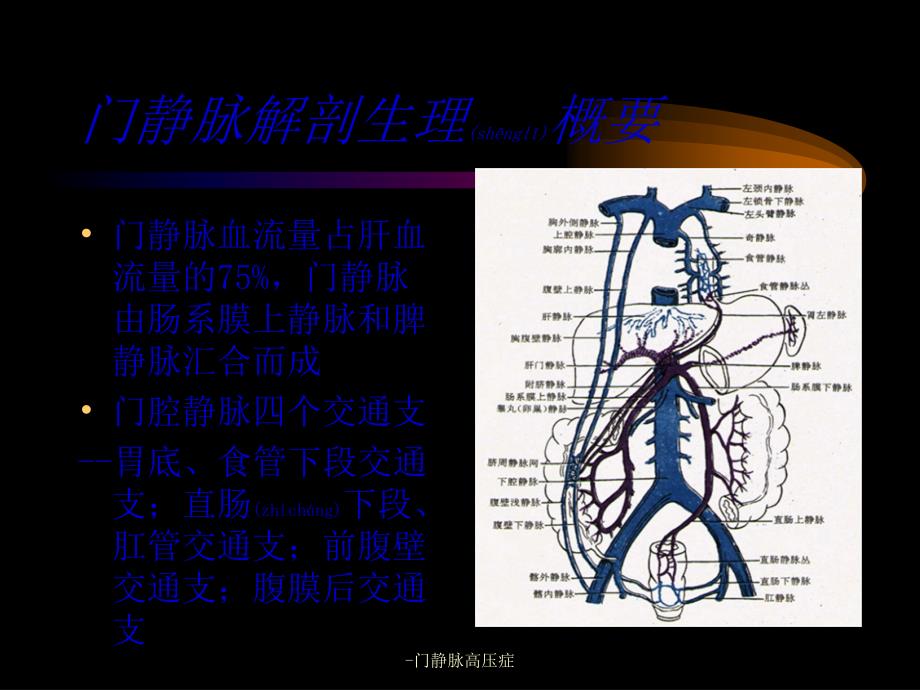 门静脉高压症课件_第3页