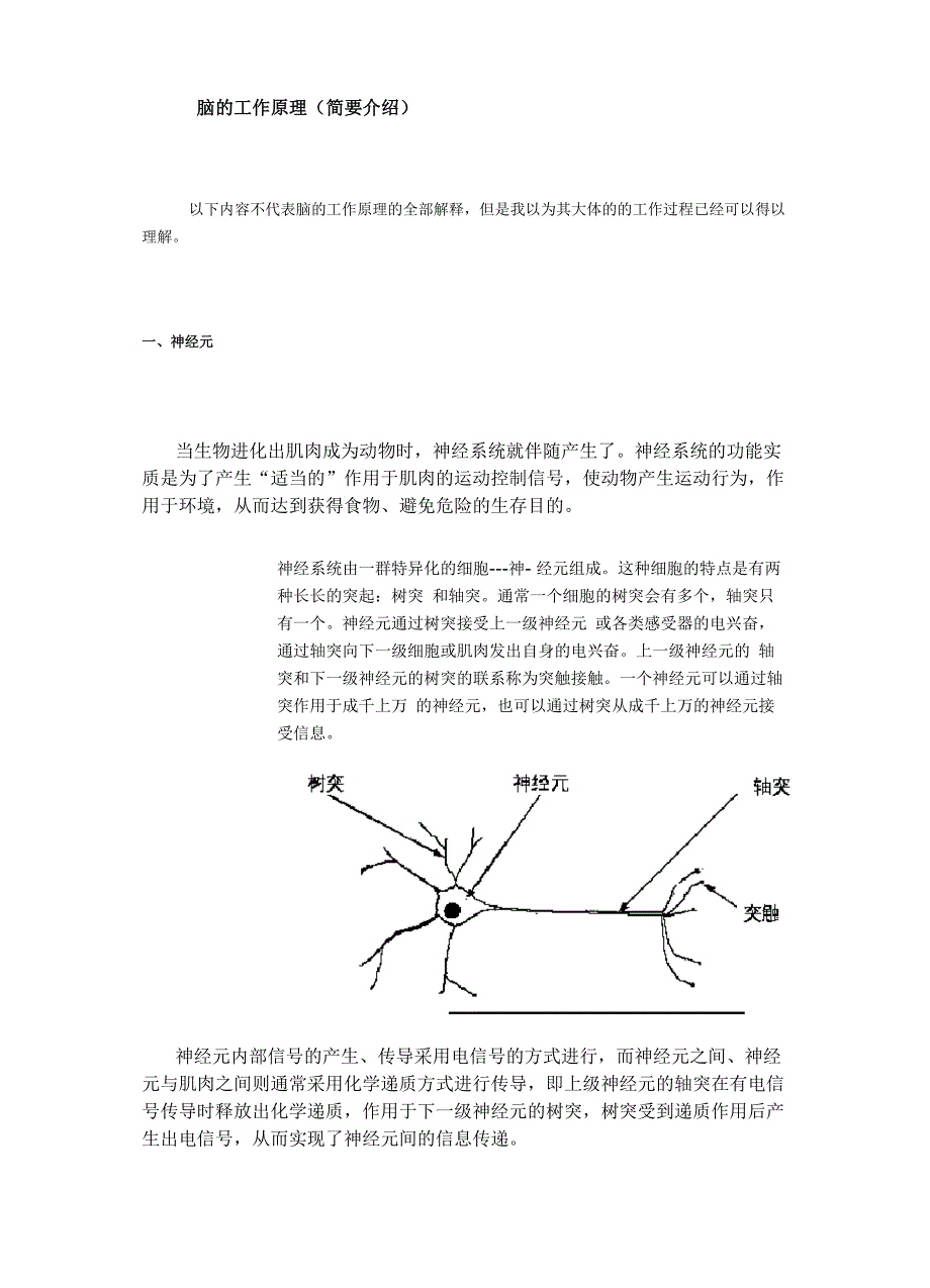 脑的工作原理_第1页