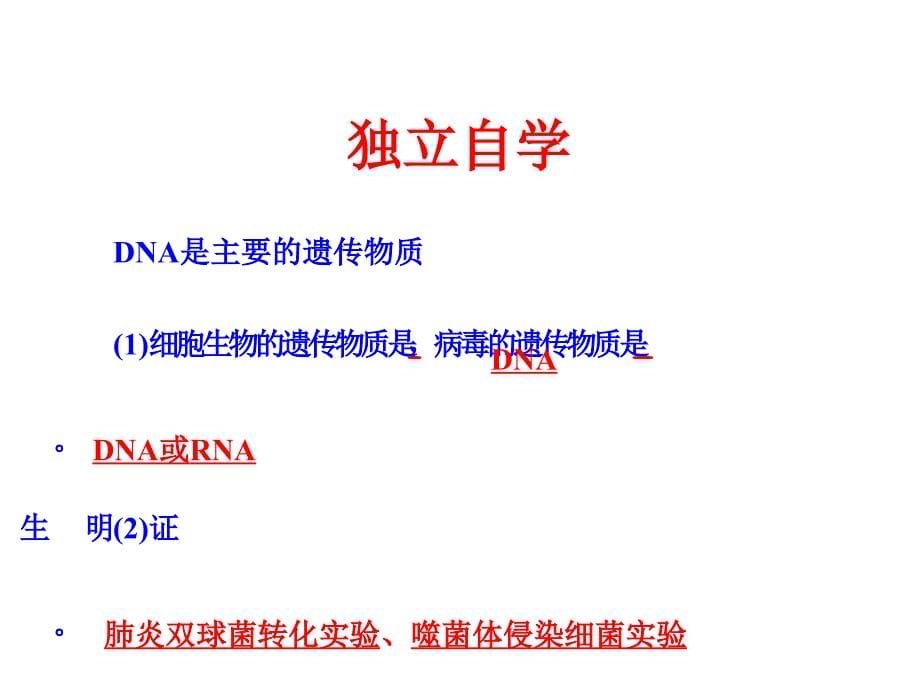 遗传的分子基础二轮复习课件_第5页