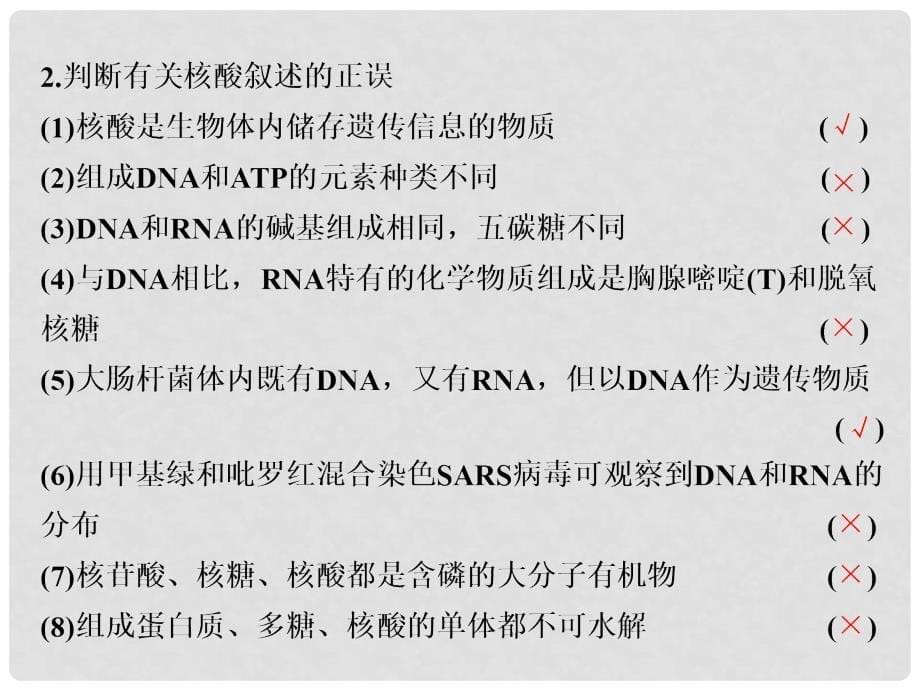 高考生物一轮复习 第一部分 分子与细胞 第一单元 细胞及其分子组成 第五讲 核酸、糖类与脂质课件_第5页