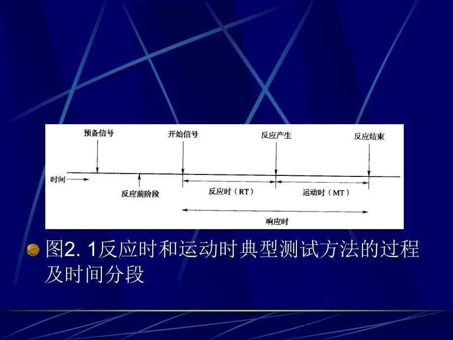 运动技能学习与控制第2章运动操作的测量课件_第5页