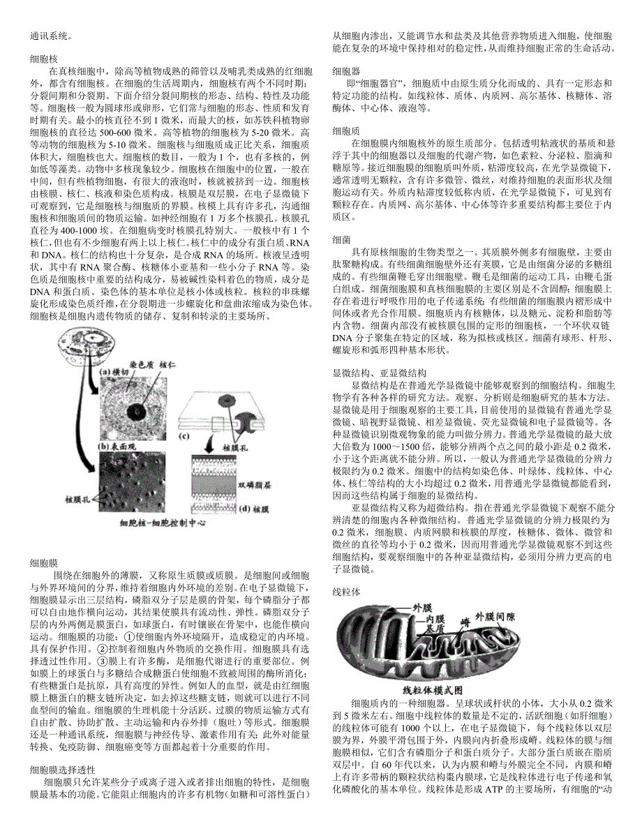 高中生物相关.doc_第4页