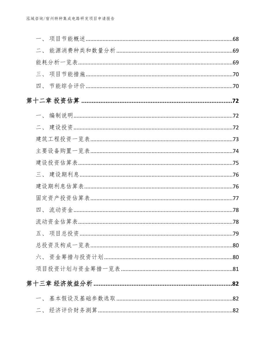 池州特种集成电路研发项目申请报告_第5页