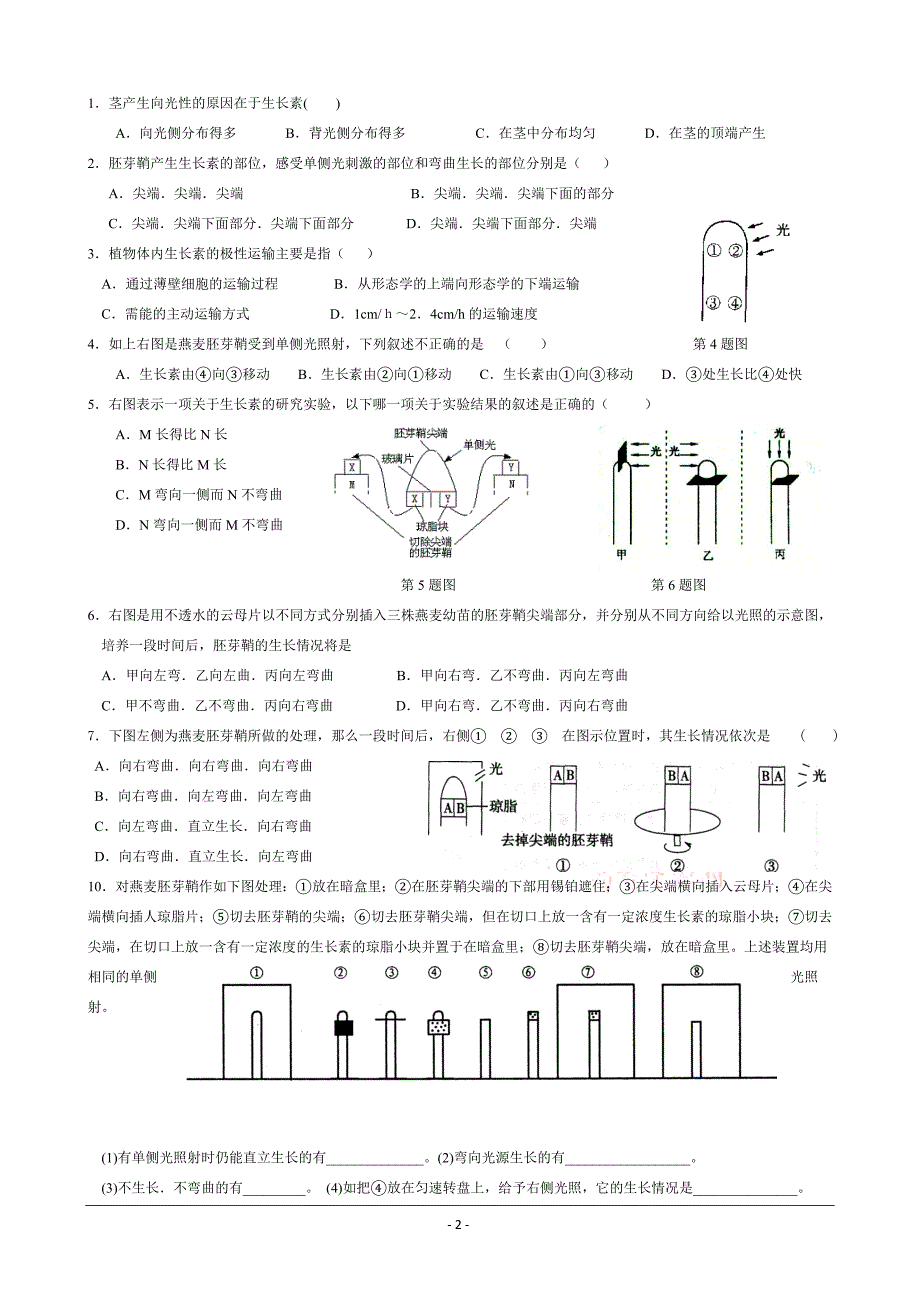 植物生长素的发现(xw2).doc_第2页