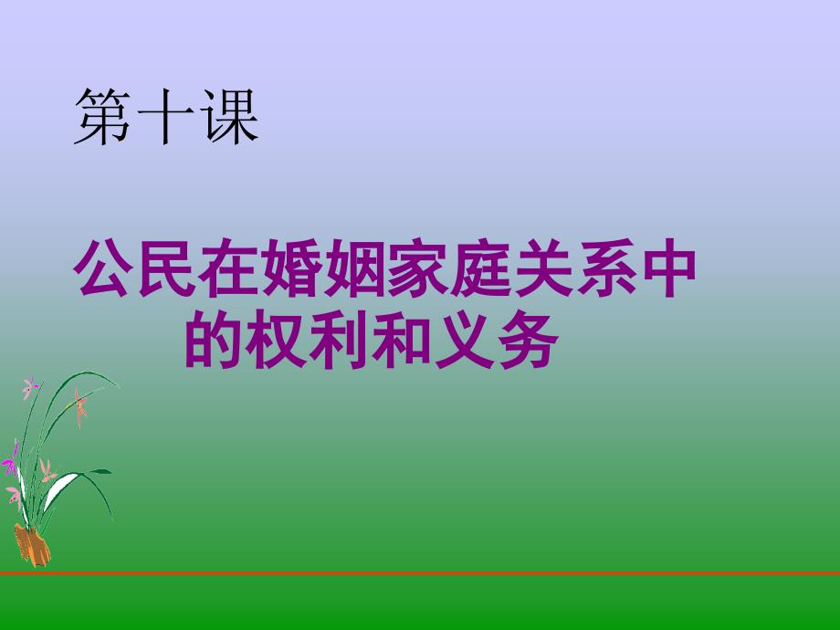 第十课公民在婚姻家庭关系中的权利和义务000002_第1页