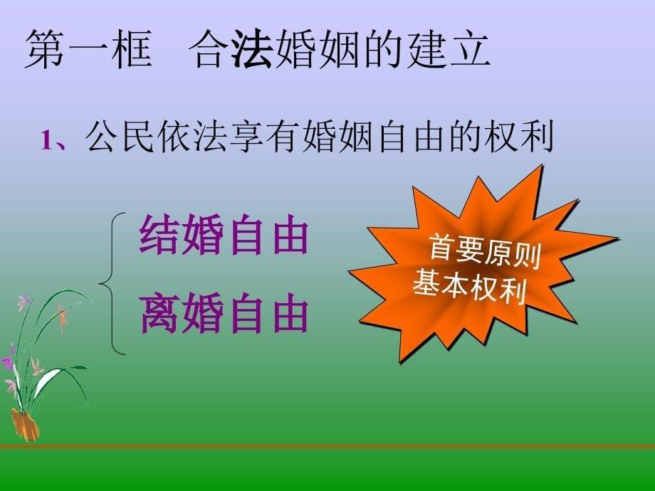 第十课公民在婚姻家庭关系中的权利和义务000002_第5页