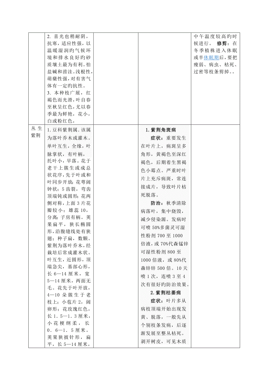 北广场植物灌木_第3页