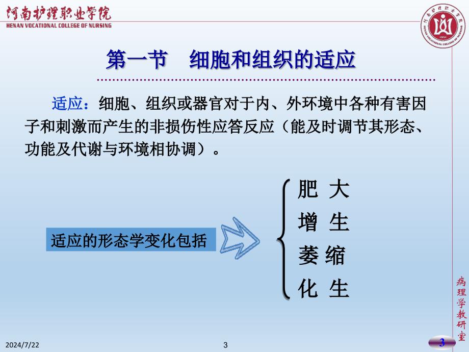 组织的适应、损伤与修复()课件_第3页