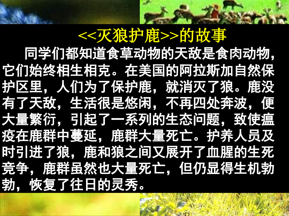 八年级上册思想品德人教版课件__第一框_竞争？合作？_第3页