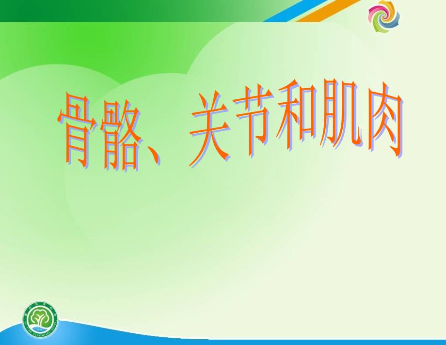 教科版小学科学四年级上册《骨骼、关节和肌肉》课件1_第2页