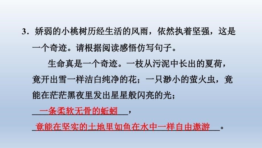 部编版七年语文下册《18一棵小桃树》ppt课件【2020精编】_第5页