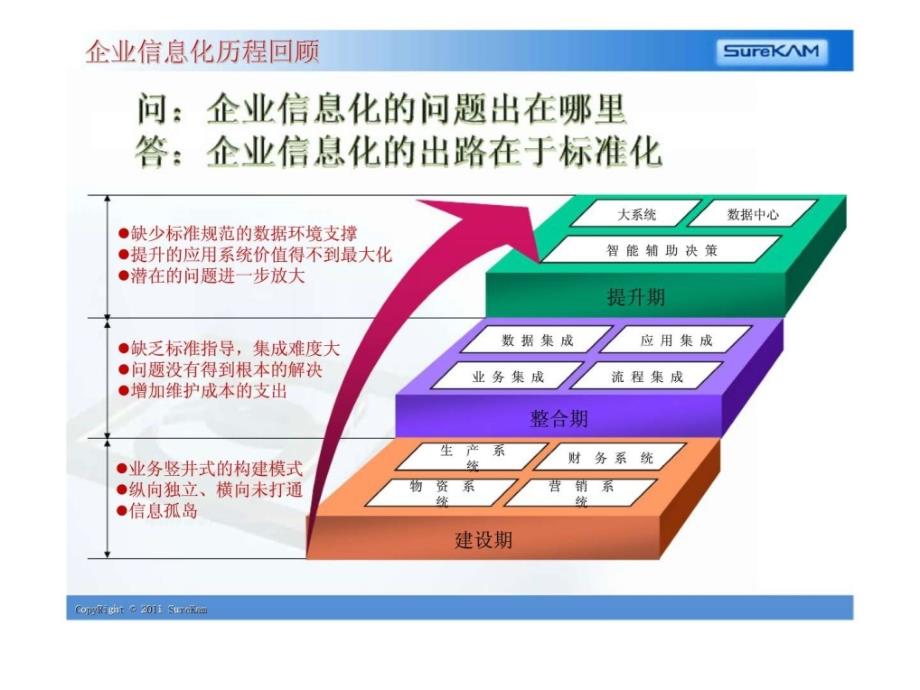 企业信息化标准建设与主数据管理_第3页