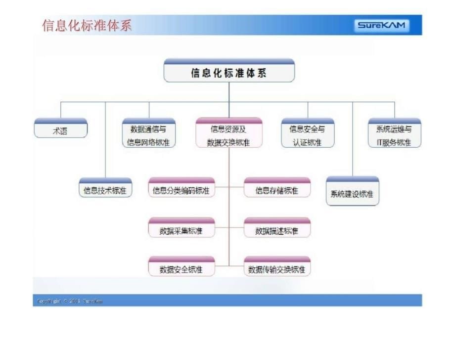 企业信息化标准建设与主数据管理_第5页