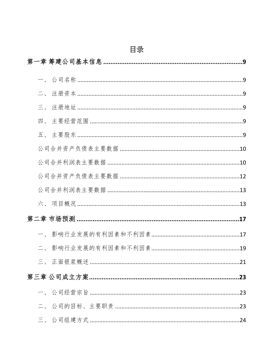 甘肃关于成立电子浆料公司可行性研究报告(DOC 89页)_第2页