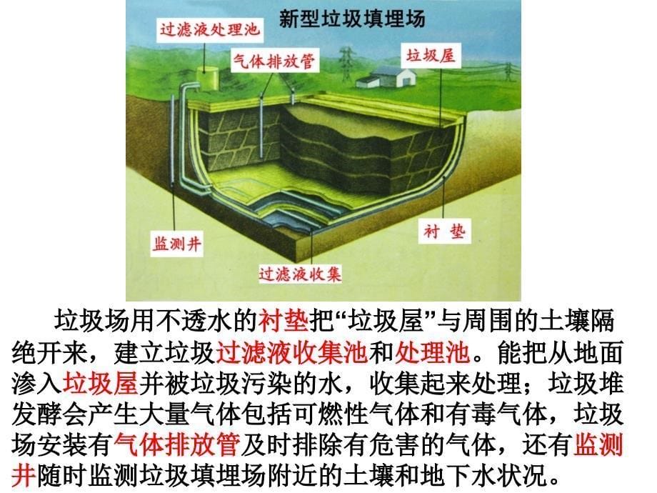 六下第四单元环境和我们_第5页