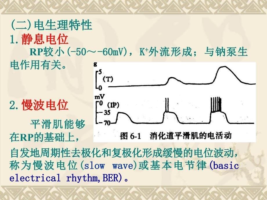 第八章消化与吸收_第5页