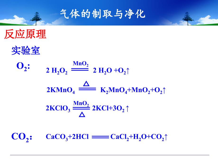 中考化学专题复习_气体的制取和净化_第2页