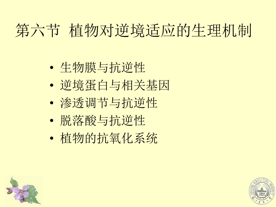 植物生理学课件：6 逆境机理_第1页