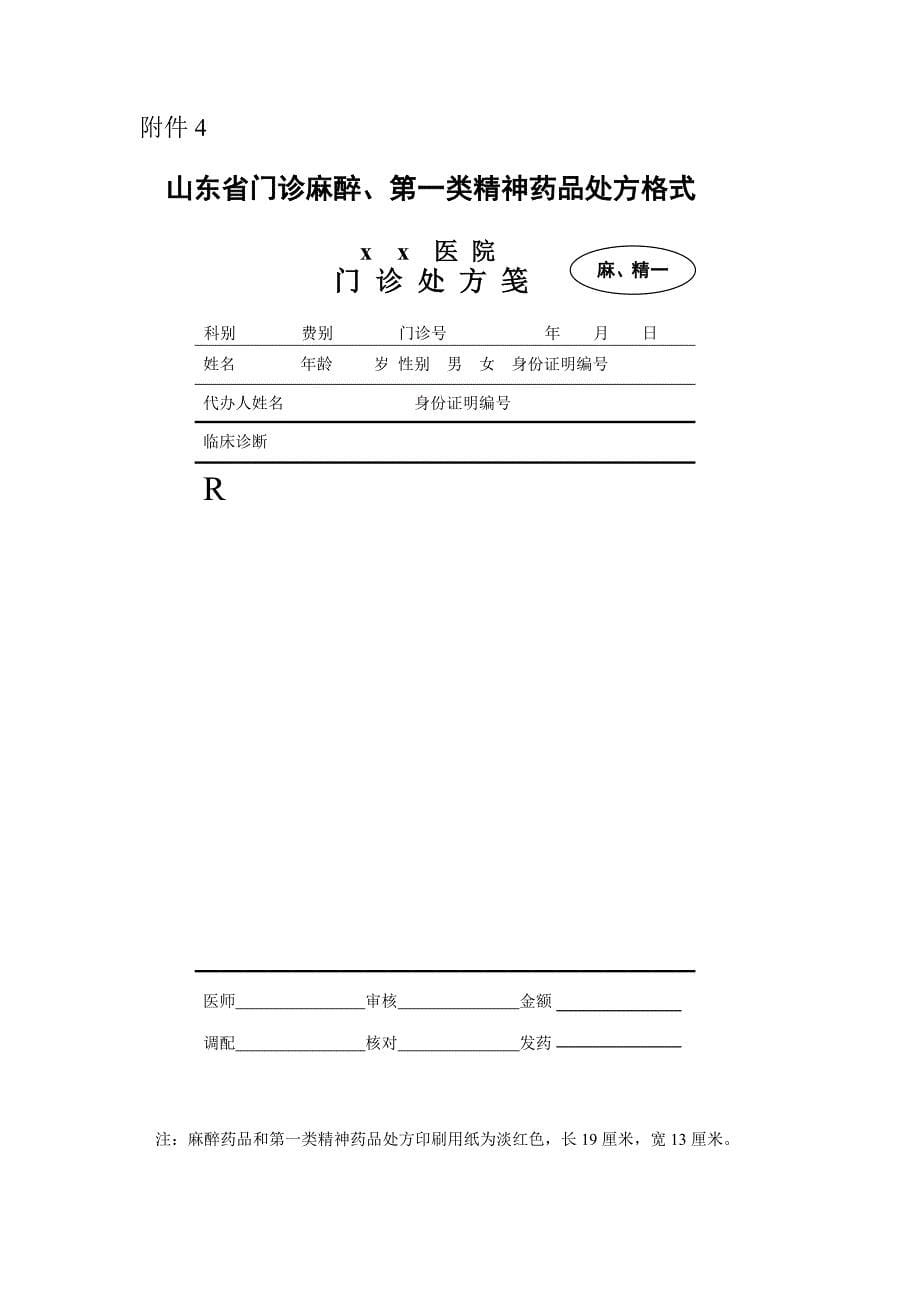 门诊普通处方格式.doc_第5页