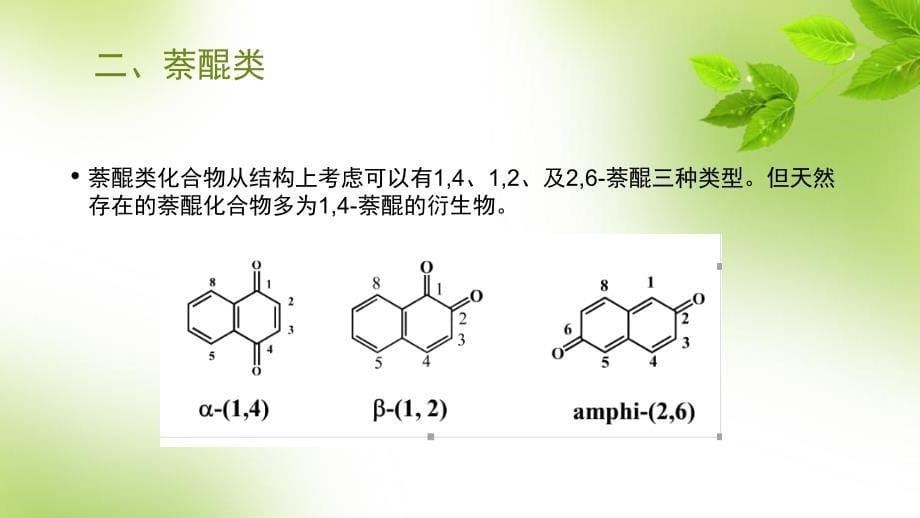 天然产物化学醌类化合物_第5页