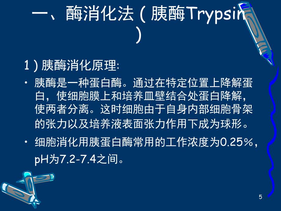 胰酶消化贴壁细胞课堂PPT_第5页
