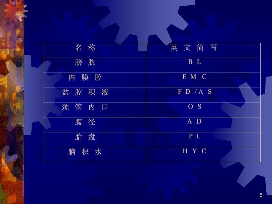 经阴道超声在妇科临床的应用课件_第5页