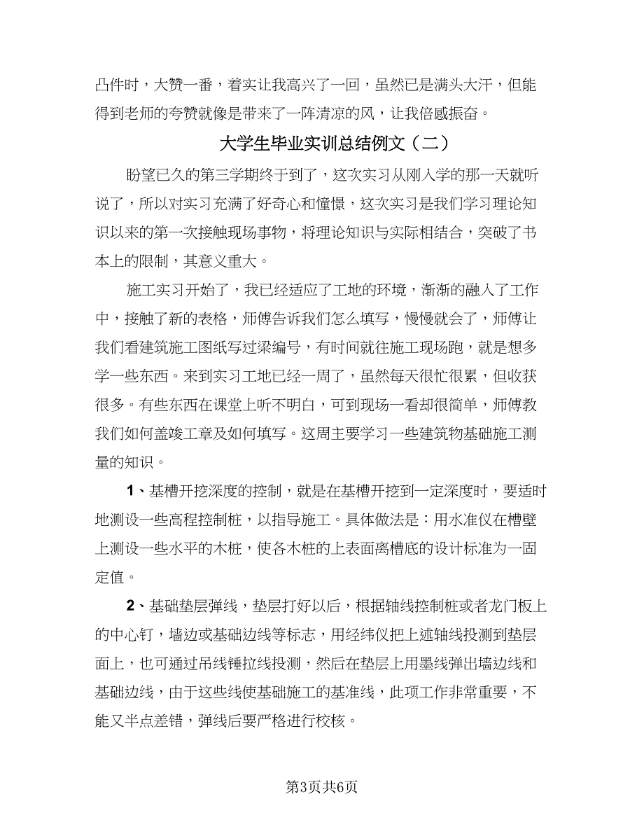 大学生毕业实训总结例文（二篇）.doc_第3页