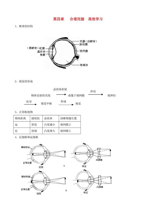 七年级生物下册-第四章《合理用脑-高效学习》复习提纲-冀教版.doc