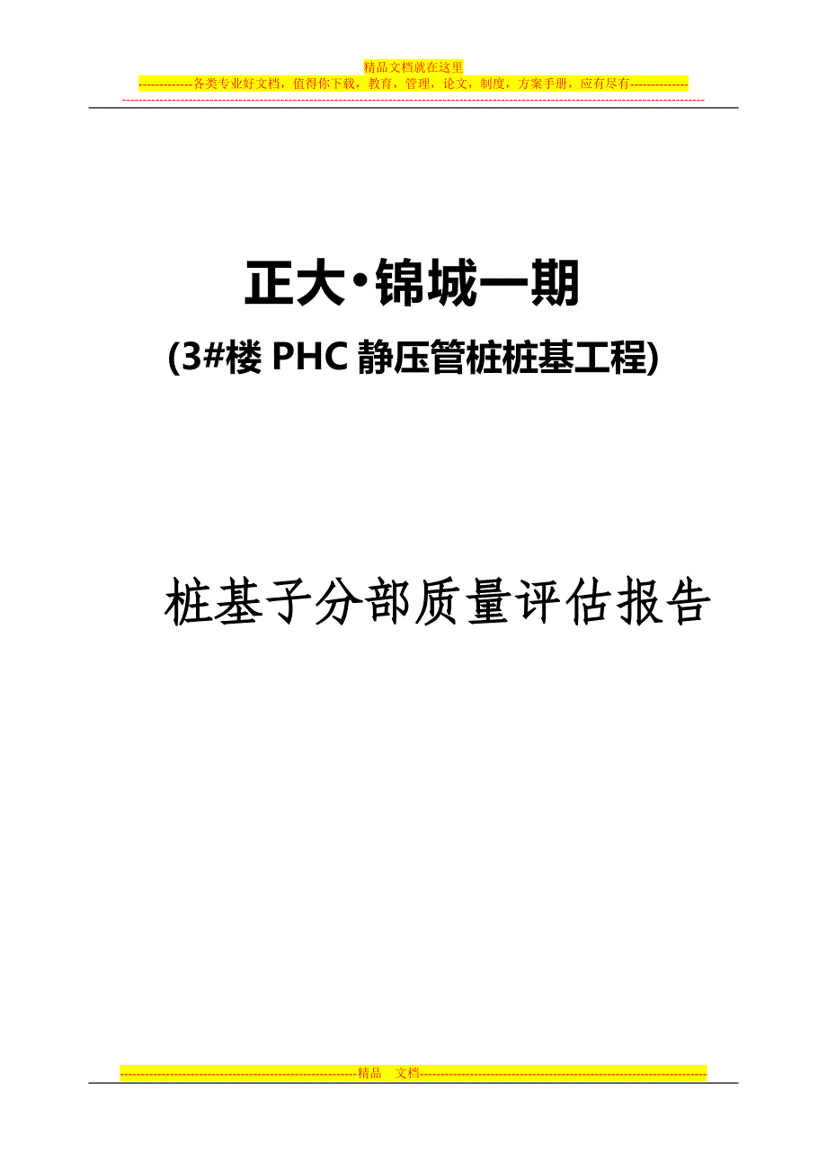 桩基质量评估报告(样本)_第1页