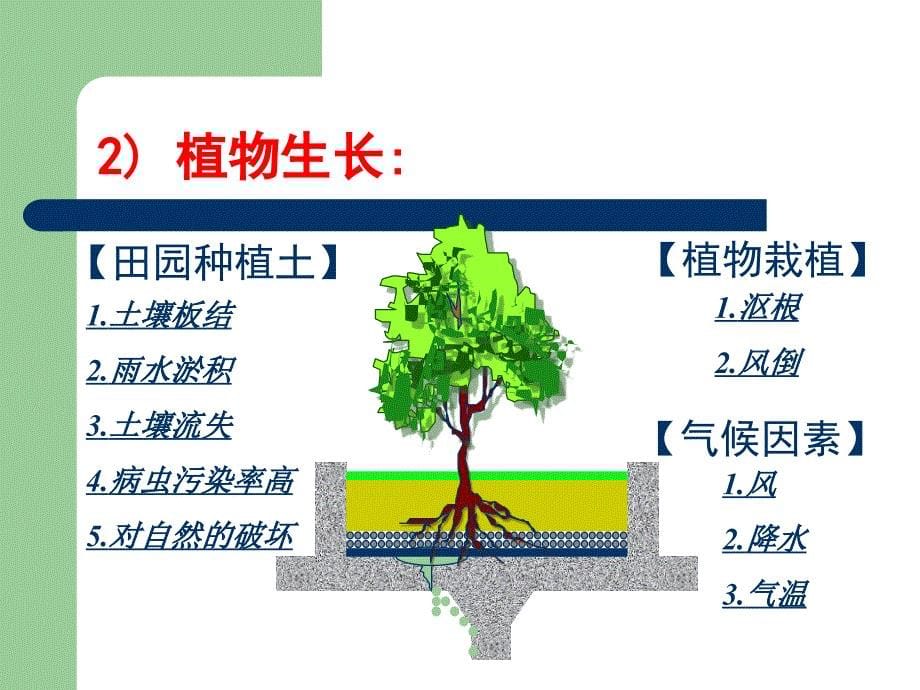 屋顶绿化设计与施工配套技术解析与材料选择课件_第5页