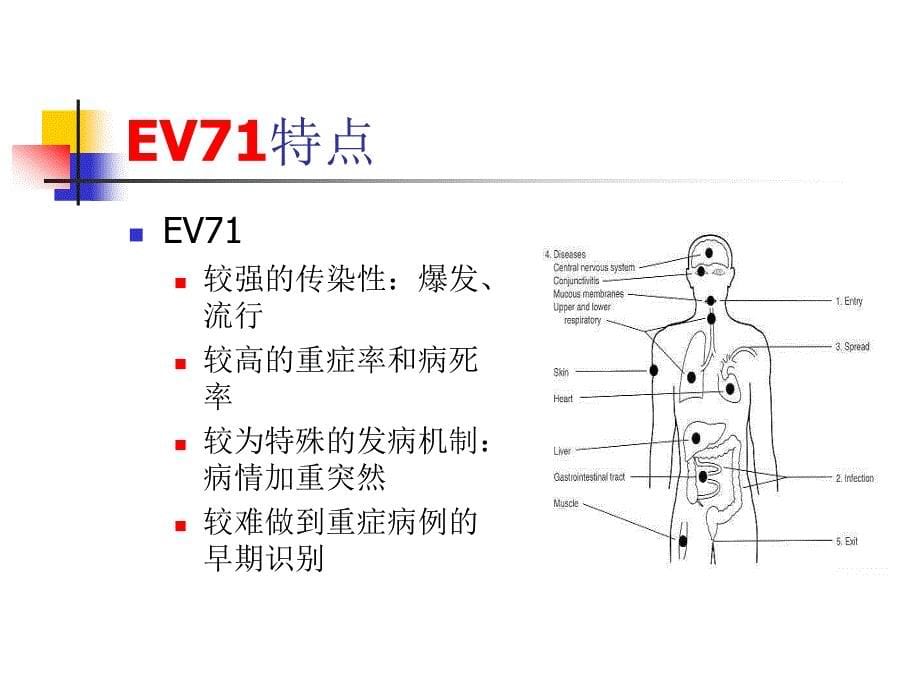 手足口病诊治中的神经系统相关问题(2010-08-30)_第5页