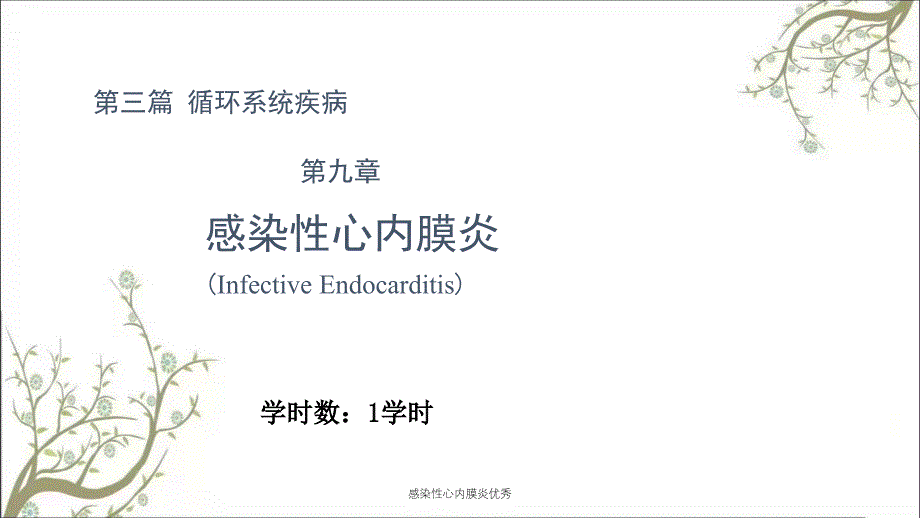 感染性心内膜炎优秀课件_第1页
