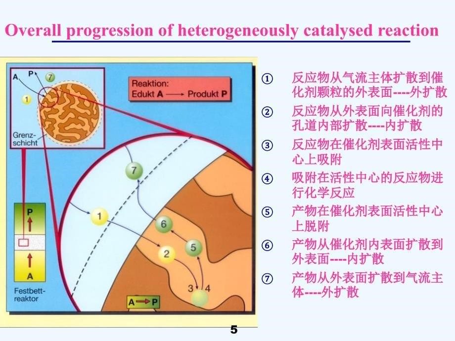 第2章气固相催化反应本征及宏观动力学_第5页