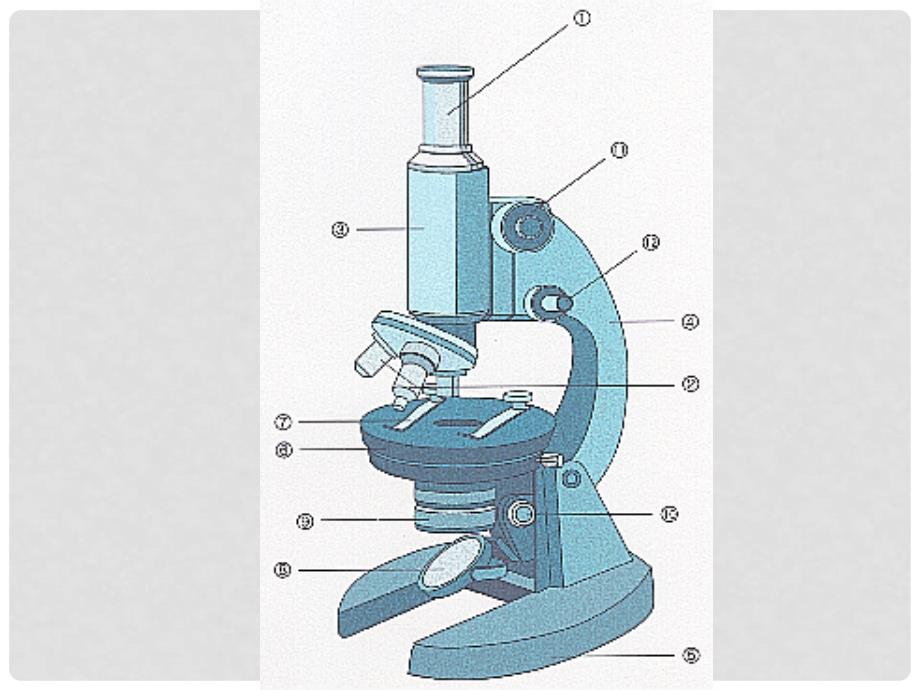 高中生物 显微镜的构造课件 新人教版必修1_第1页