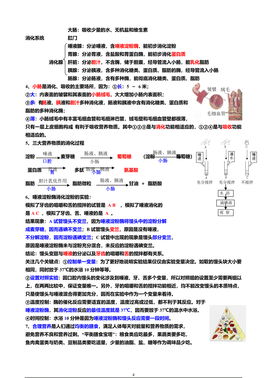 2012年生物中考总复习精要_第4页