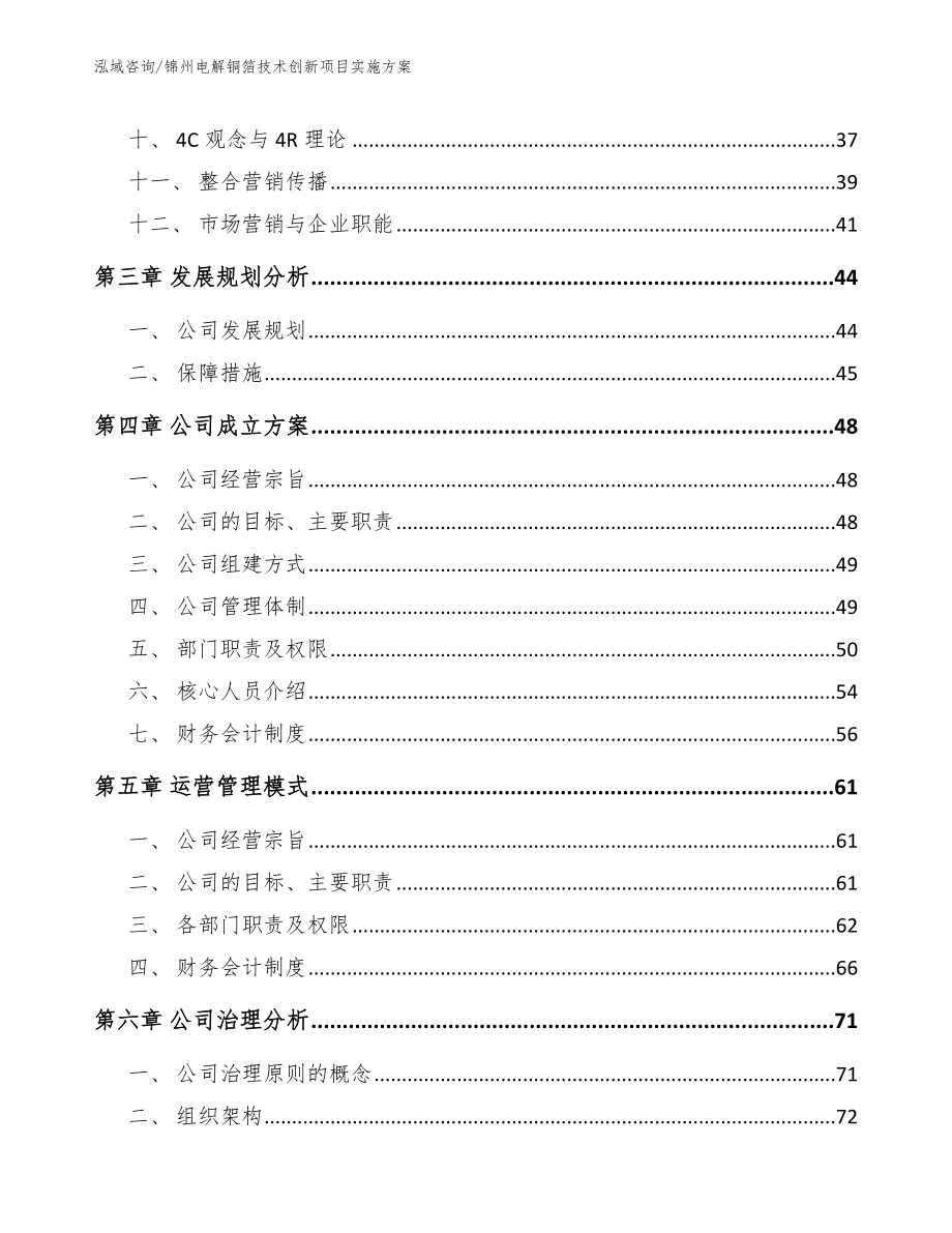 锦州电解铜箔技术创新项目实施方案模板范文_第2页