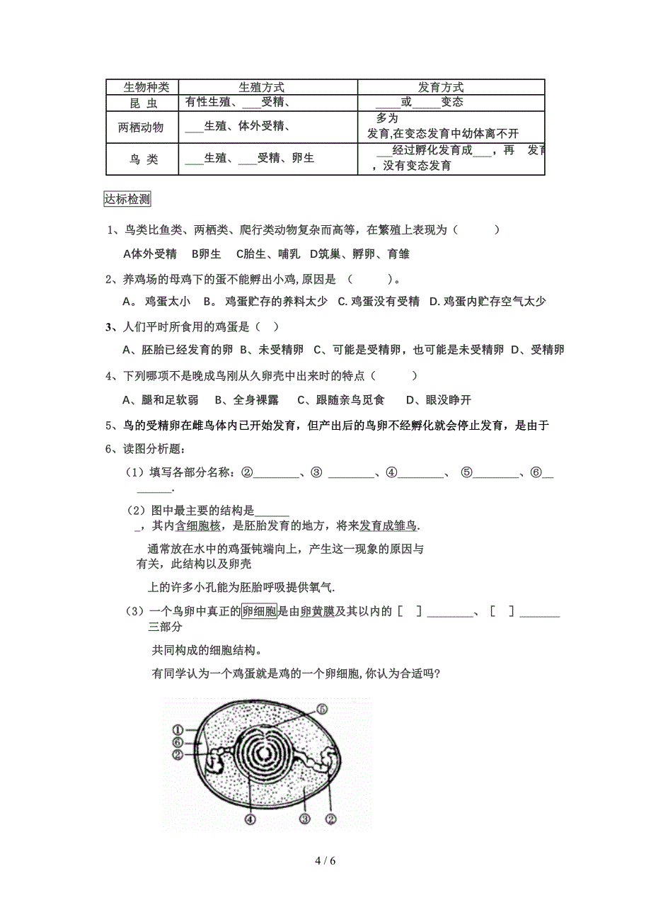 鸟类的生殖、发育_第4页