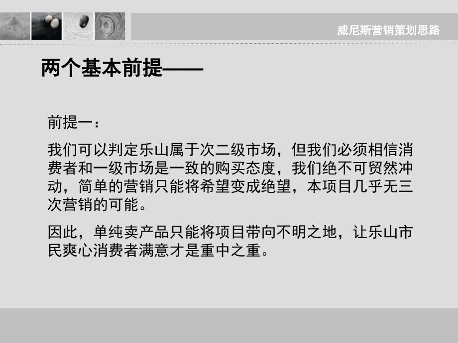 乐山威尼斯项目营销策划思路_第4页