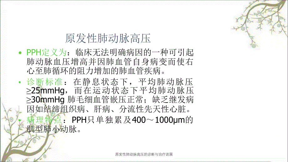 原发性肺动脉高压的诊断与治疗进展_第2页