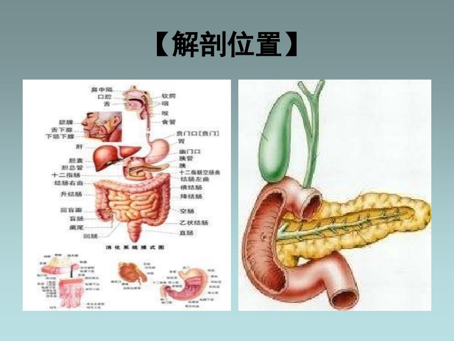 胰腺癌病人的护理_第3页