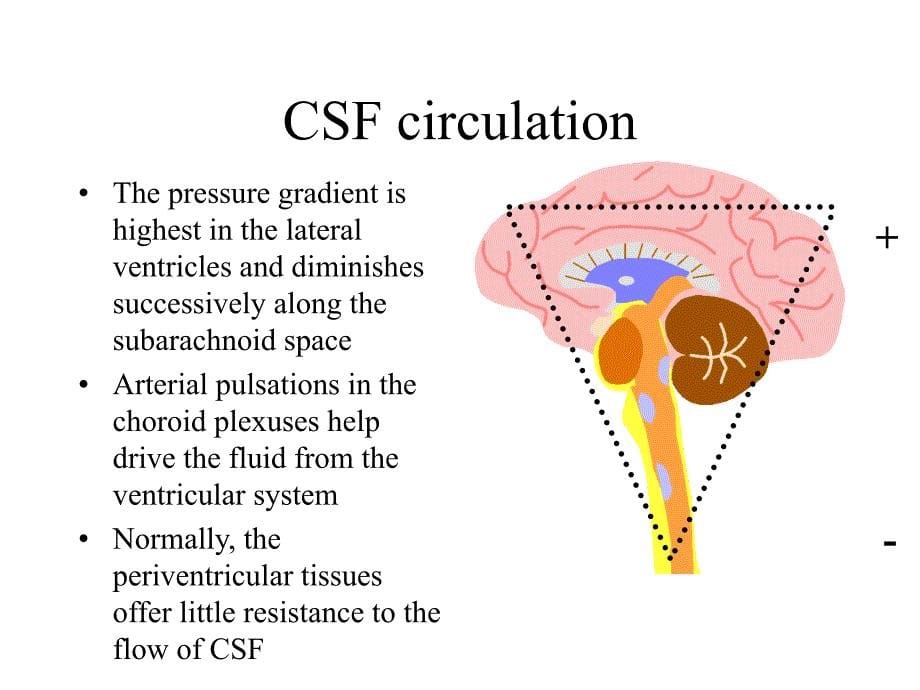 脑积水Hydrocephalus_第5页