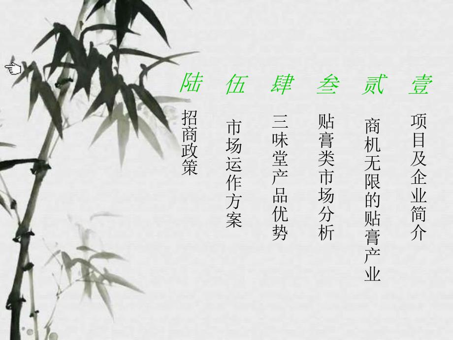 三味堂医药招商方案_第2页