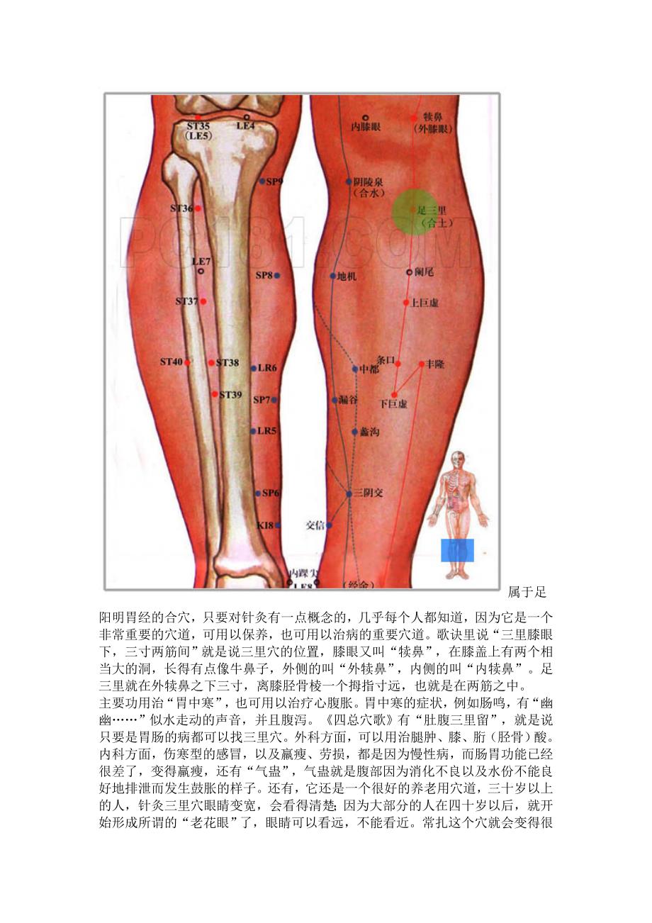 老祖宗留下的绝技[针灸大成].doc_第2页