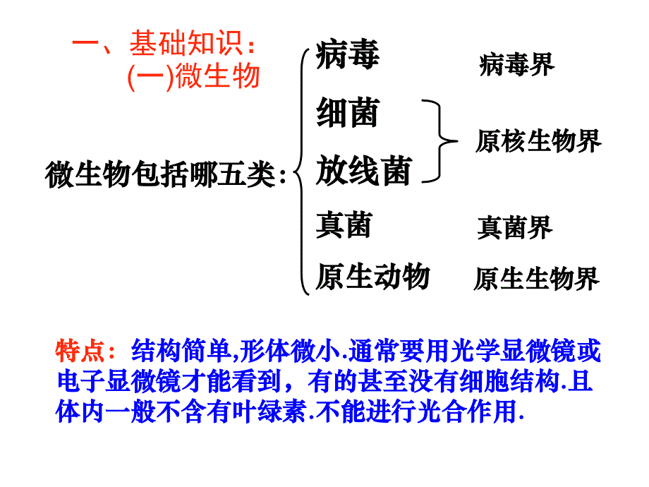 微生物的培养与应用课件_第3页