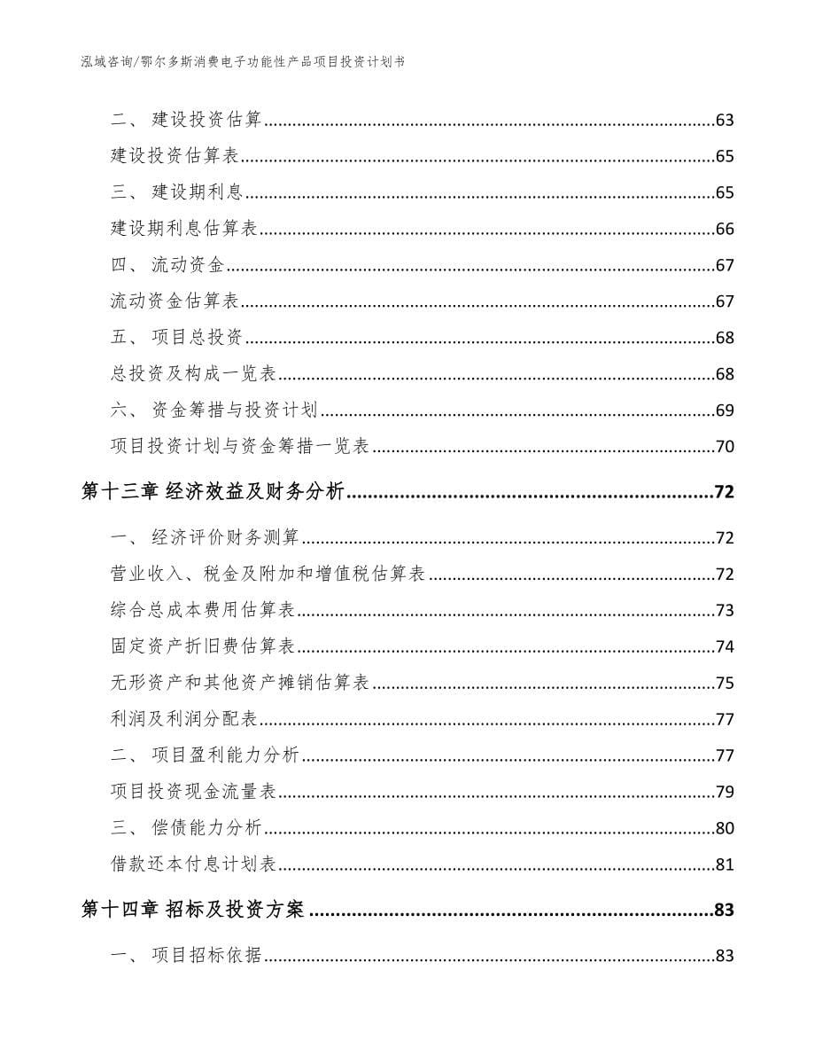 鄂尔多斯消费电子功能性产品项目投资计划书（范文）_第5页