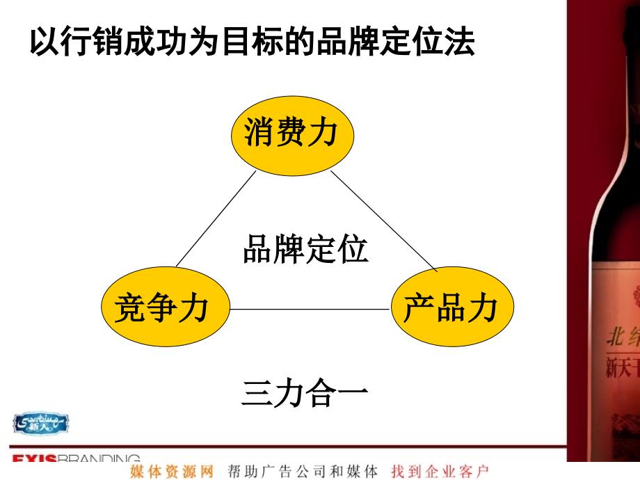 新天葡萄酒品牌构想及创意(1)_第3页