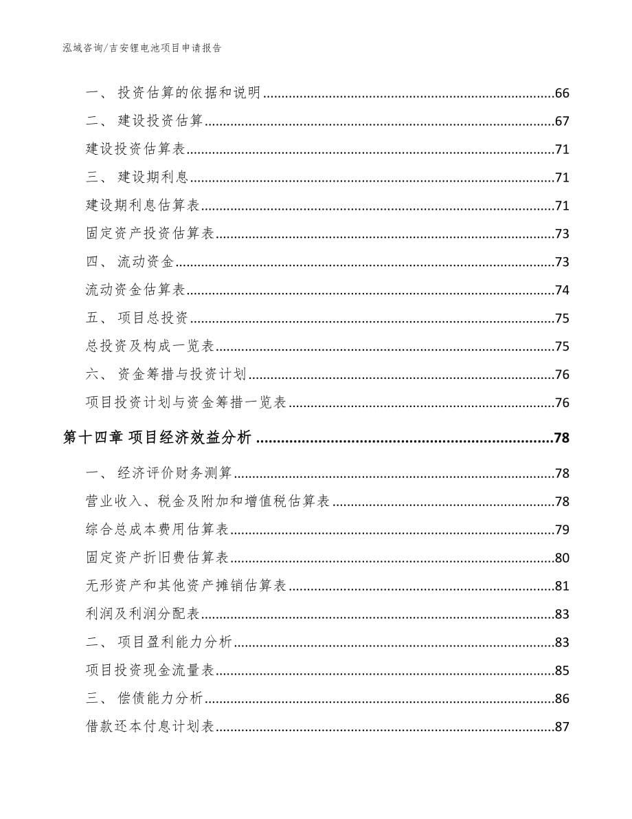 吉安锂电池项目申请报告_范文模板_第5页