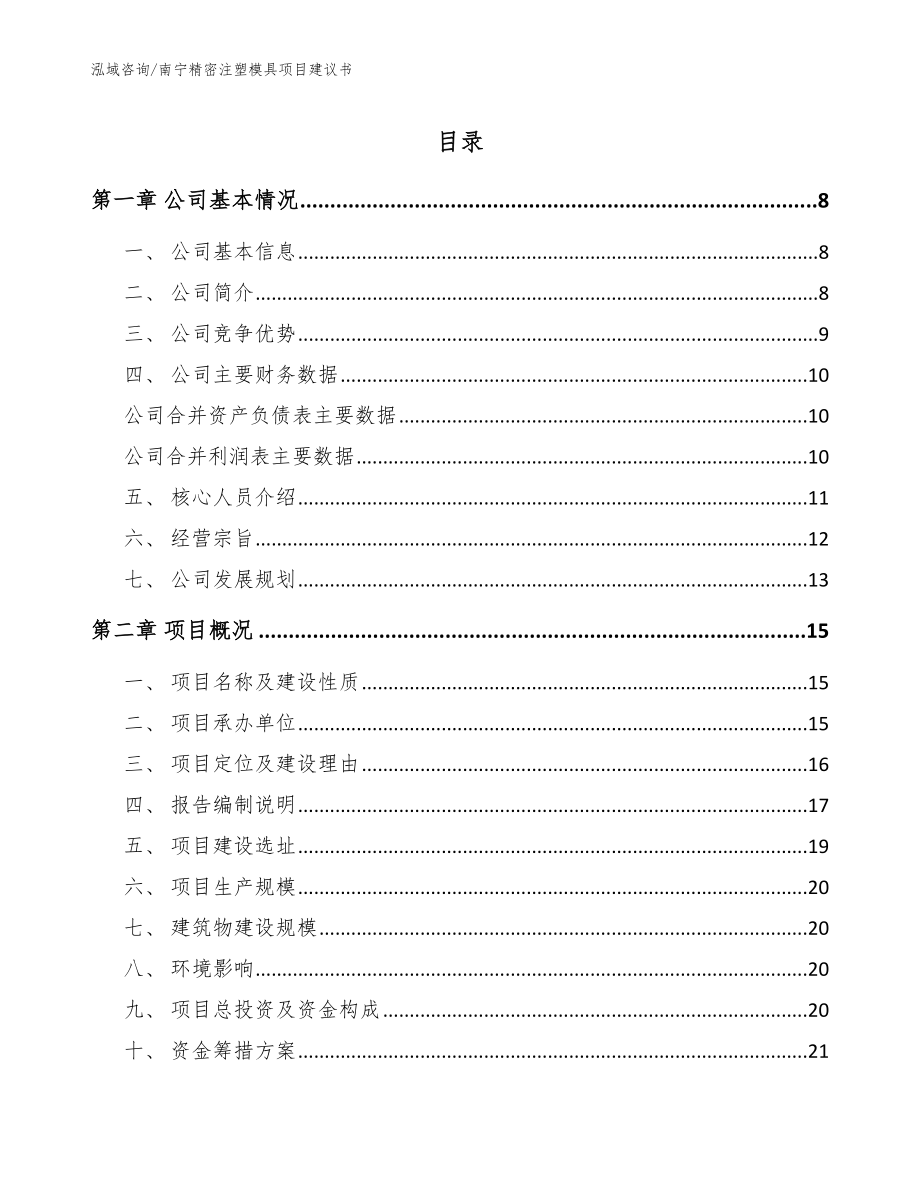 南宁精密注塑模具项目建议书范文参考_第1页