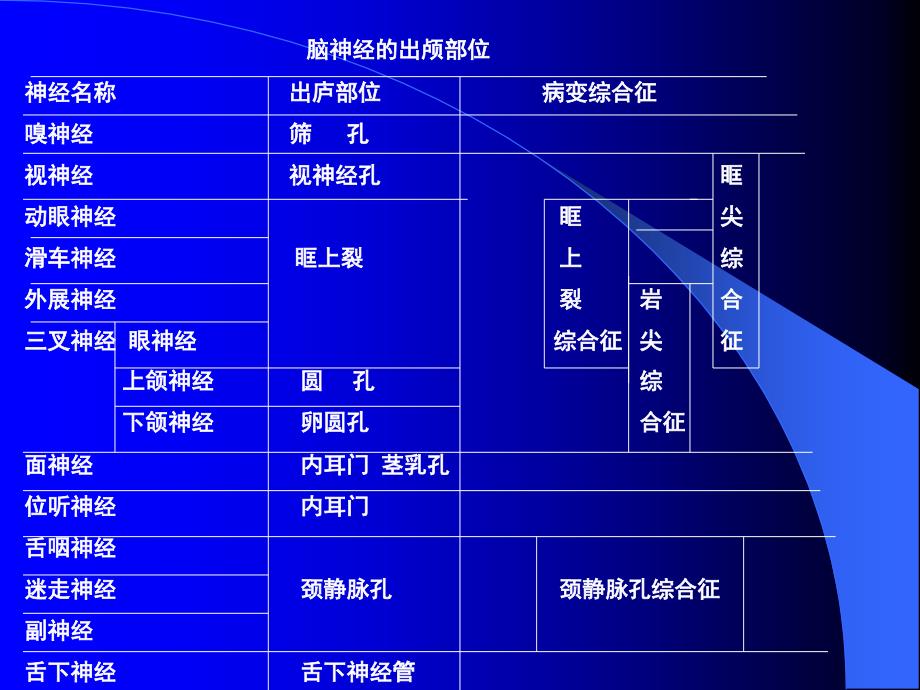 视网膜的血管课件_第4页